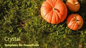  Presentation with october - Slide set consisting of pumpkins-on-the-grass background and a tawny brown colored foreground