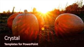  Presentation with crops - Cool new theme with pumpkins orange harvest in field backdrop and a wine colored foreground
