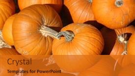  Presentation with market - Colorful PPT layouts enhanced with pumpkins pumpkins for sale backdrop and a gold colored foreground