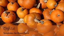  Presentation with halloween - Slides having pumpkins pumpkins for sale background and a crimson colored foreground