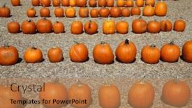  Presentation with fall season - Slide set featuring pumpkins-ripe-ginger-pumpkins-closeup background and a coral colored foreground