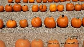  Presentation with fall season - Slide set featuring pumpkins-ripe-ginger-pumpkins-closeup background and a  colored foreground