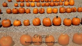  Presentation with fall season - Theme having pumpkins-ripe-ginger-pumpkins-closeup background and a  colored foreground