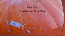  Presentation with festival - Presentation theme featuring pumpkins waiting to be sold for the halloween festival background and a coral colored foreground