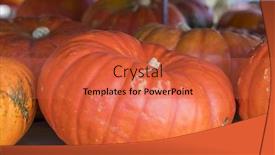  Presentation with festival - Cool new theme with pumpkins waiting to be sold for the halloween festival backdrop and a red colored foreground