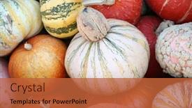  Presentation with winter - PPT theme with pumpkins-winter-squash-various-types background and a red colored foreground