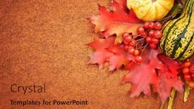  Presentation with fall leaves - PPT theme having pumpkins with fall leaves with seasonal background background and a red colored foreground
