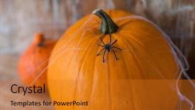 Presentation with crime halloween concept blood dripping - PPT theme with pumpkins with spiders and cobweb background and a gold colored foreground