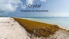  Presentation with dominican republic - Audience pleasing PPT layouts consisting of punta cana dominican republic - june backdrop and a light blue colored foreground