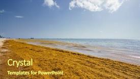  Presentation with dominican republic - Slide deck featuring punta cana dominican republic - june background and a tawny brown colored foreground