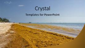  Presentation with dominican republic - Amazing PPT theme having punta cana dominican republic - june backdrop and a light blue colored foreground