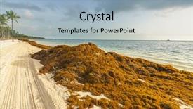  Presentation with dominican republic - Colorful PPT theme enhanced with punta cana dominican republic - june backdrop and a light blue colored foreground