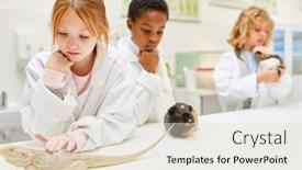  Presentation with behavior - PPT layouts with pupils-explore-behavior-of-animals background and a lemonade colored foreground