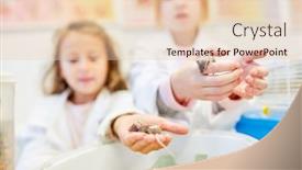  Presentation with elementary school - Colorful PPT layouts enhanced with pupils-in-biology-lessons backdrop and a lemonade colored foreground