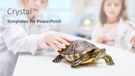  Presentation with elementary school - Beautiful theme featuring pupils-in-elementary-school-teaching backdrop and a sky blue colored foreground