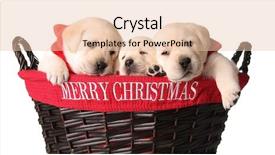  Presentation with merry christmas - Slide deck consisting of half face of gold buddha background and a gold colored foreground