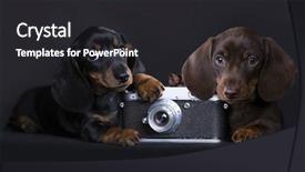  Presentation with old photo - Theme enhanced with old analog retro photo cam background and a dark gray colored foreground