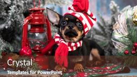  Presentation with dog christmas - Amazing slide deck having puppy-chihuahua-hua-in-hat backdrop and a tawny brown colored foreground