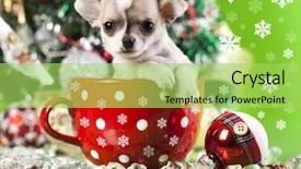  Presentation with cute christmas pug puppy dog - Slides featuring puppy christmas chihuahua in cup background and a yellow colored foreground
