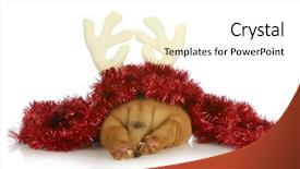  Presentation with cute christmas pug puppy dog - Cool new slide set with charcoal - close up outdoor wooden furniture backdrop and a tawny brown colored foreground.