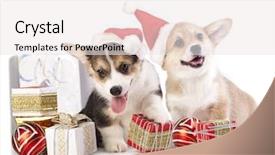  Presentation with puppy - PPT theme consisting of puppy in a santa claus background and a sky blue colored foreground