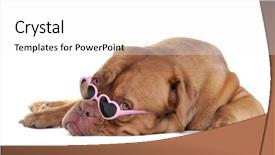  Presentation with glamour - Cool new PPT theme with puppy in glamour heart-shaped backdrop and a white colored foreground