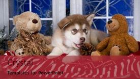  Presentation with dog christmas - Beautiful PPT layouts featuring puppy-new-year-s-puppy backdrop and a red colored foreground