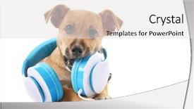  Presentation with headphones - Amazing presentation theme having puppy playing with headphones isolated backdrop and a  colored foreground