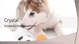  Presentation with two cute sisters playing - Beautiful presentation theme featuring puppy playing with rubber balls backdrop and a  colored foreground