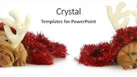  Presentation with puppy - Amazing PPT theme having puppy rudolph - dogue de bordeaux backdrop and a cream colored foreground