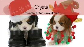  Presentation with elf - PPT layouts enhanced with puppy santa and elf - cavalier background and a red colored foreground