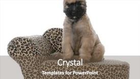  Presentation with puppy - PPT layouts enhanced with puppy sitting on a dog background and a tawny brown colored foreground