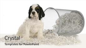  Presentation with old paper - PPT theme enhanced with puppy sitting in recycled paper background and a soft green colored foreground