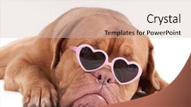  Presentation with heart - Slide set featuring puppy with heart shaped pink background and a soft green colored foreground