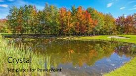  Presentation with pure water - PPT layouts with pure pond overgrown with reed background and a gold colored foreground
