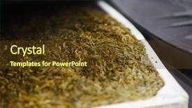  Presentation with seaweed - Presentation theme with pure seaweed in large container background and a tawny brown colored foreground