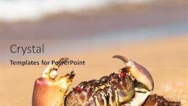  Presentation with alien - Audience pleasing slide deck consisting of pure-threat-alien-creature backdrop and a coral colored foreground