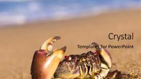  Presentation with alien - Beautiful slide deck featuring biological threats - pure threat alien creature backdrop and a coral colored foreground