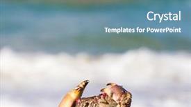  Presentation with alien - Audience pleasing PPT layouts consisting of pure threat alien creature backdrop and a teal colored foreground