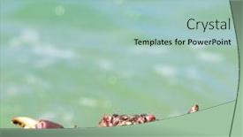  Presentation with alien - PPT theme enhanced with pure-threat-alien-creature background and a light blue colored foreground