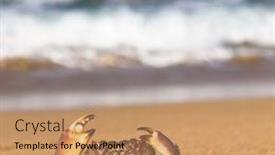  Presentation with alien - Slides featuring pure threat alien creature background and a coral colored foreground
