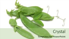  Presentation with pure white - Slides featuring pure white with tendril background and a  colored foreground