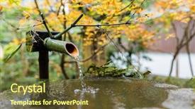  Presentation with water bamboo - Beautiful slide deck featuring water bamboo with maple tree backdrop and a tawny brown colored foreground