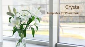  Presentation with lotus flower white water lily - PPT layouts enhanced with purity christ - vase with beautiful white lilies background and a lemonade colored foreground