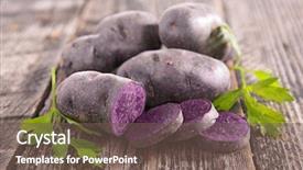  Presentation with potato - Presentation with purple - vitelotte raw potato background and a violet colored foreground