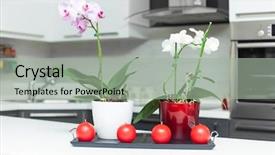  Presentation with purple orchids - Beautiful presentation theme featuring purple and white orchids backdrop and a light gray colored foreground