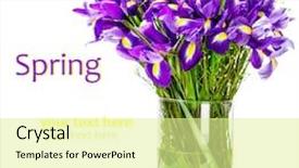  Presentation with flowers vase - Slide deck with purple and yellow iris flowers background and a blonde colored foreground