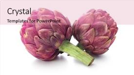  Presentation with purple and teal - Colorful presentation theme enhanced with purple artichokes isolated on white backdrop and a coral colored foreground
