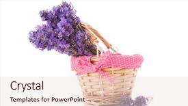  Presentation with lavender - Audience pleasing slides consisting of purple bouquet lavender in cute basket isolated over white background backdrop and a lemonade colored foreground