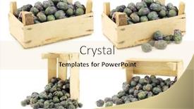  Presentation with brussel - Presentation featuring purple-brussel-sprouts background and a lemonade colored foreground